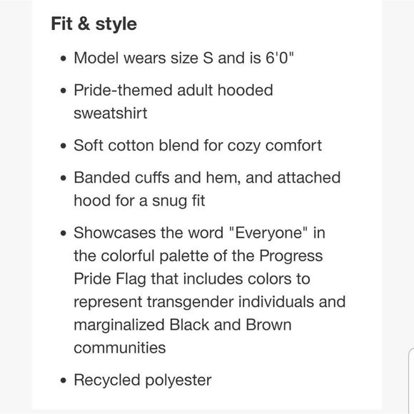 Take Pride Everyone Welcome Gray Rainbow Hoodie New with Tags Unisex Sz. SMALL - Picture 4 of 10